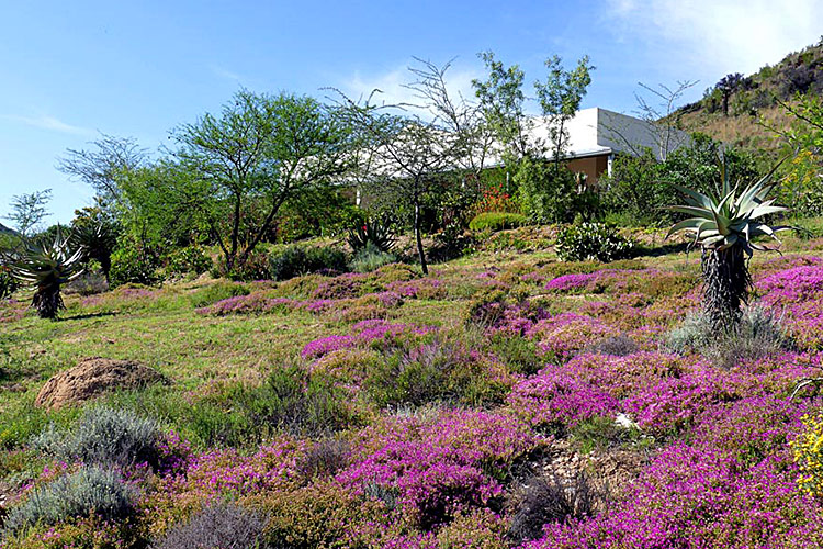 The Retreat at Groenfontein