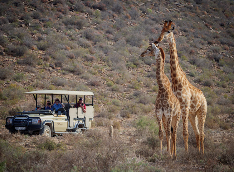 Sanbona Wildlife Reserve Sanbona Wildlife Reserve