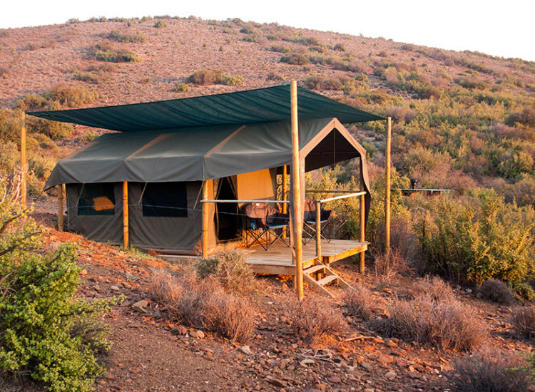 Appelsfontein Game Lodge Appelsfontein Game Lodge