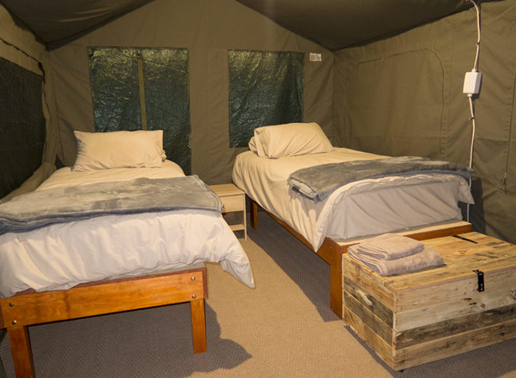 Appelsfontein Game Lodge Appelsfontein Game Lodge