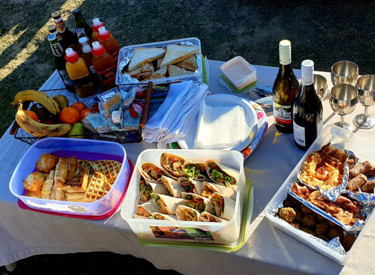 Klein Karoo Day Tours Klein Karoo Day Tours