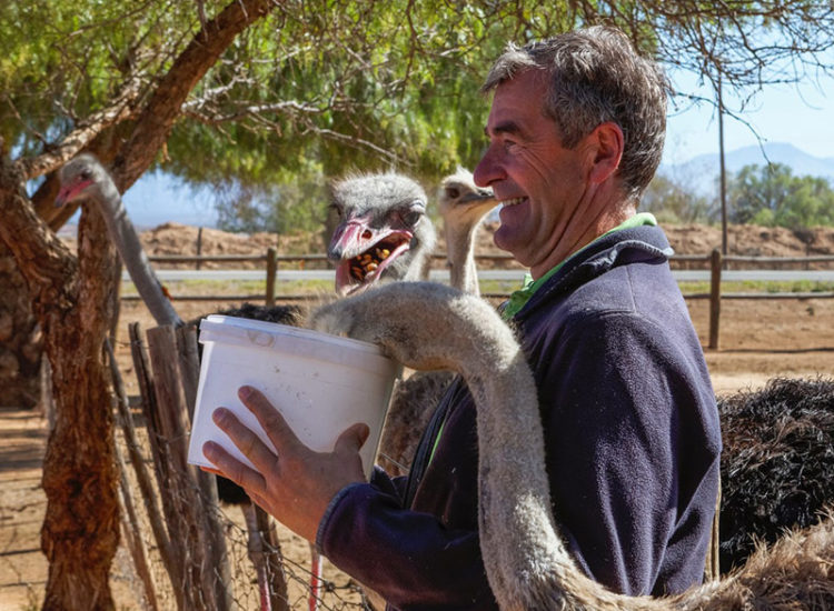 Klein Karoo Day Tours Klein Karoo Day Tours