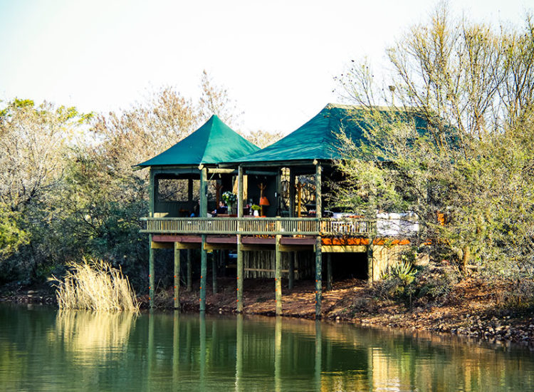 Buffelsdrift Game Lodge Spa Buffelsdrift Game Lodge Spa