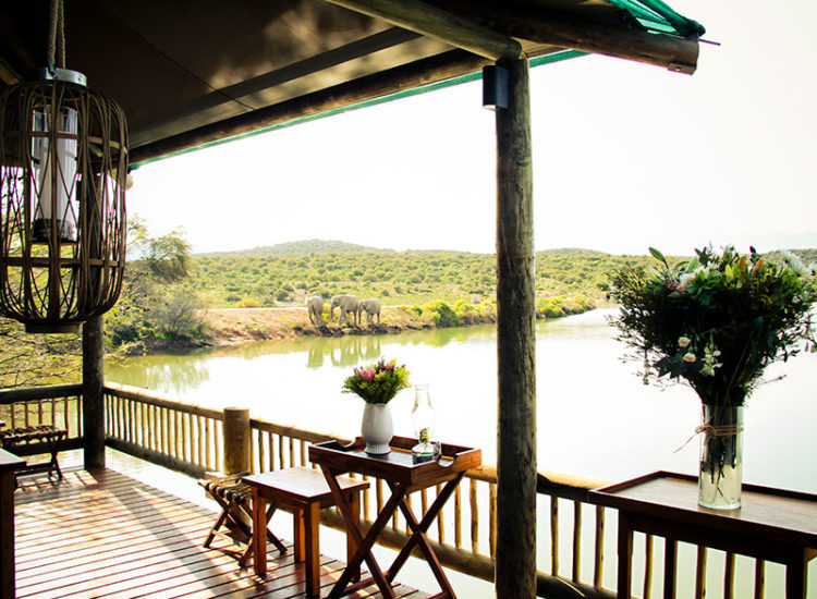 Buffelsdrift Game Lodge Spa Buffelsdrift Game Lodge Spa