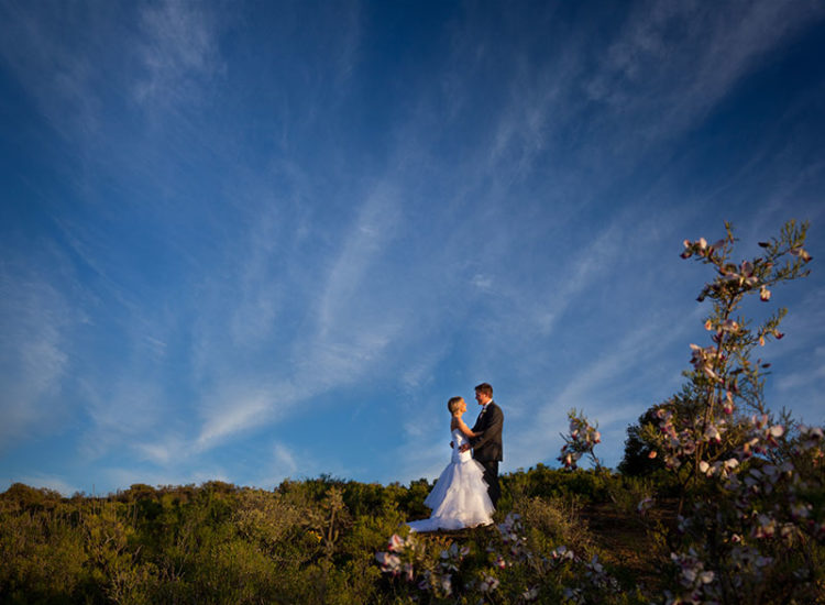 Venue Scenery Venue Scenery