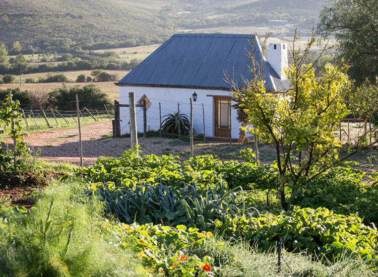swartberg-country-manor-01