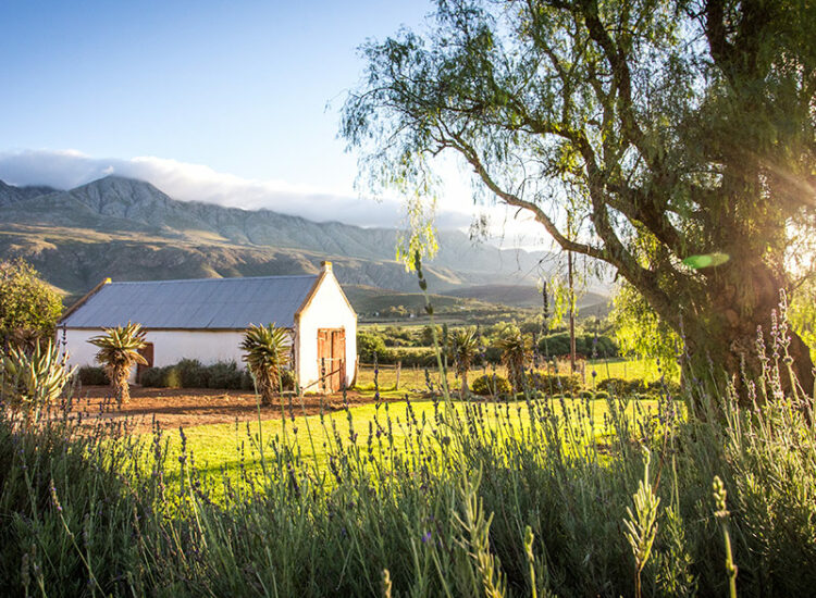 swartberg-country-manor-03