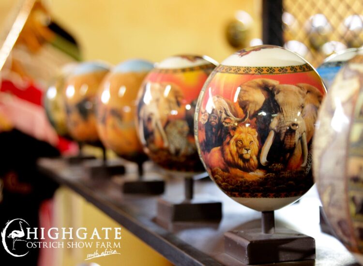 HIGHGATE 2