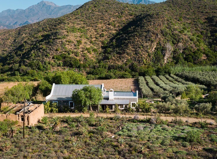 Matjiesvlei-Cottages13