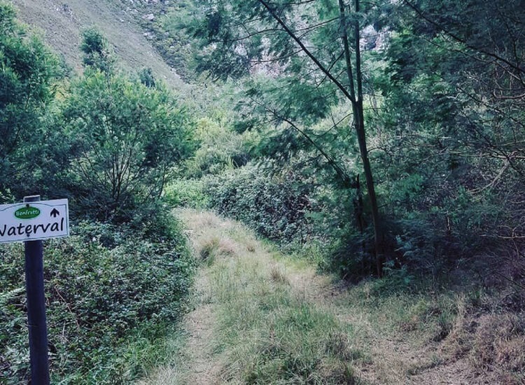 Robertson Tourism-06